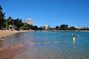 Baie des Citrons : plage fermée pour cause de méduses