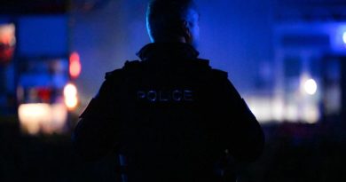 Paris place le Nouvel An sous ultra-surveillance : mesures exceptionnelles face au risque terroriste et aux bandes organisées L'écho républicain