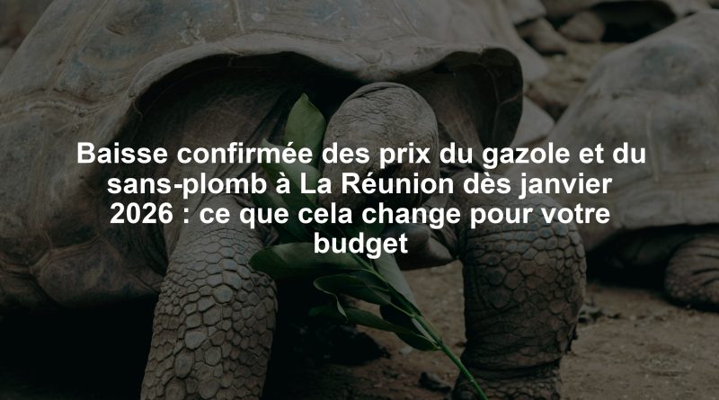 Baisse confirmée des prix du gazole et du sans-plomb à La Réunion dès janvier 2026 : ce que cela change pour votre budget