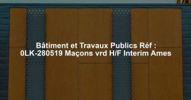 Bâtiment et Travaux Publics Réf : 0LK-280519 Maçons vrd H/F Interim Ames