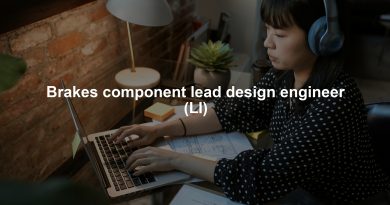 Brakes component lead design engineer (LI)