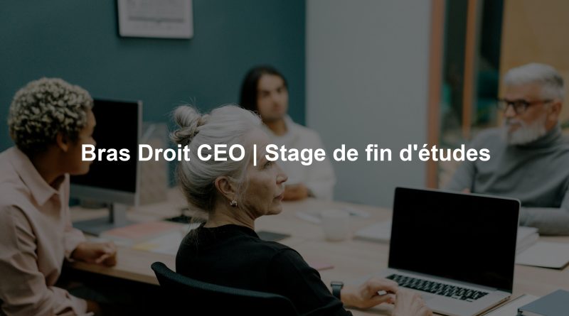 Bras Droit CEO | Stage de fin d'études