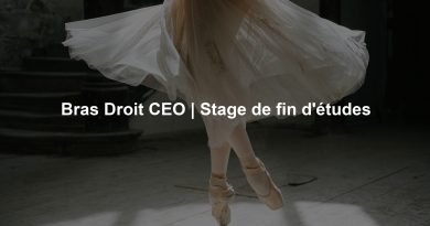 Bras Droit CEO | Stage de fin d'études