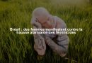 Brésil : des femmes manifestent contre la hausse alarmante des féminicides