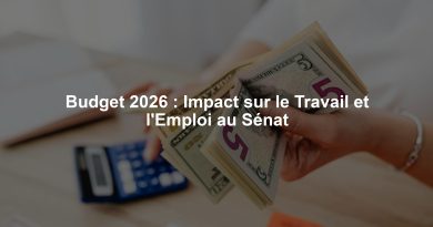 Budget 2026 : Impact sur le Travail et l'Emploi au Sénat