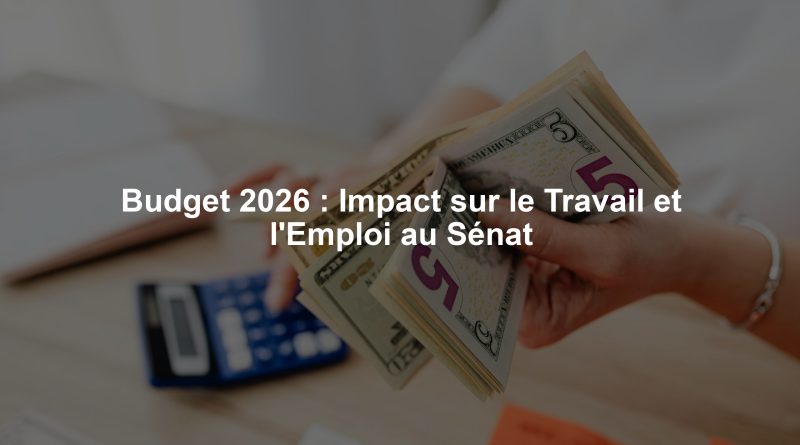 Budget 2026 : Impact sur le Travail et l'Emploi au Sénat