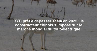 BYD prêt à dépasser Tesla en 2025 : le constructeur chinois s’impose sur le marché mondial du tout-électrique