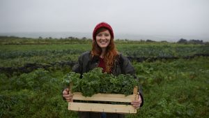 Fruits et légumes de saison en décembre : ce qu'il faut savoir - RTBF Actus