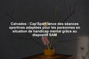 Calvados : Cap'Sport lance des séances sportives adaptées pour les personnes en situation de handicap mental grâce au dispositif SAM