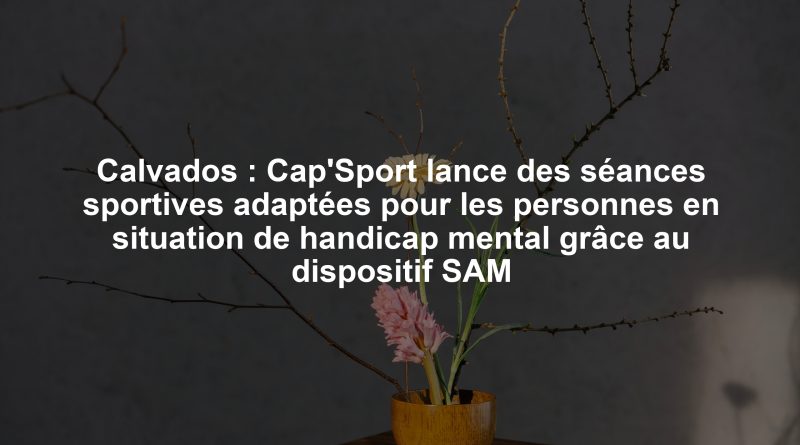Calvados : Cap'Sport lance des séances sportives adaptées pour les personnes en situation de handicap mental grâce au dispositif SAM