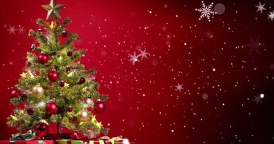 Fermeture annuelle de Transitions Pro Corsica et accès maintenu aux services en ligne