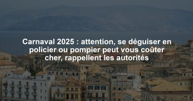 Carnaval 2025 : attention, se déguiser en policier ou pompier peut vous coûter cher, rappellent les autorités