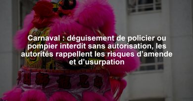 Carnaval : déguisement de policier ou pompier interdit sans autorisation, les autorités rappellent les risques d’amende et d’usurpation