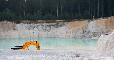 « L'or blanc » : 250 ans de richesse pour la 2e ville de Nouvelle-Aquitaine, un nouveau statut en vue.