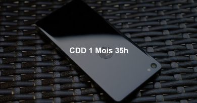 CDD 1 Mois 35h