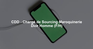 CDD - Chargé de Sourcing Maroquinerie Dior Homme (F/H)