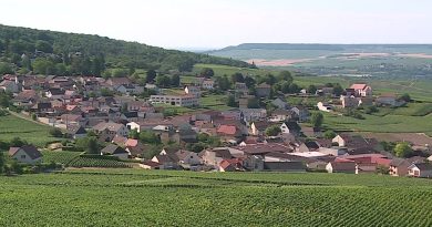 Champagne-Ardenne : drames, exploits sportifs et patrimoine mondial, l’année 2025 bouleverse la région Les dix ans à l'Unesco, l'exploit de Pauline Ferrand-Prévot, un crime adolescent... Notre rétrospective de l'année 2025