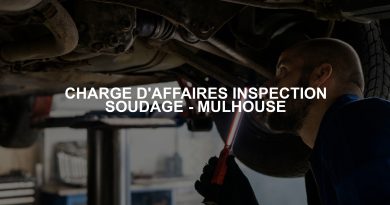 CHARGE D’AFFAIRES INSPECTION SOUDAGE – MULHOUSE CHARGE D'AFFAIRES INSPECTION SOUDAGE - MULHOUSE