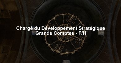 Chargé du Développement Stratégique Grands Comptes – F/H Chargé du Développement Stratégique Grands Comptes - F/H