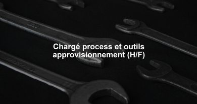 Chargé process et outils approvisionnement (H/F)