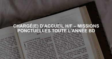 CHARGÉ(E) D’ACCUEIL H/F – MISSIONS PONCTUELLES TOUTE L’ANNÉE BD