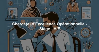 Chargé(e) d'Excellence Opérationnelle - Stage - H/F