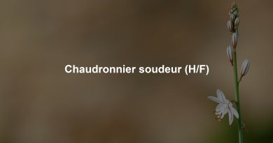 Chaudronnier soudeur (H/F)