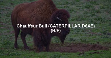 Chauffeur Bull (CATERPILLAR D6XE) (H/F)