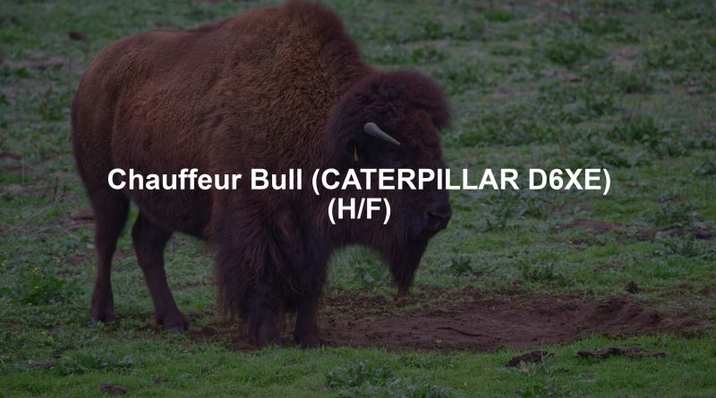 Chauffeur Bull (CATERPILLAR D6XE) (H/F)