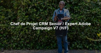 Chef de Projet CRM Senior / Expert Adobe Campaign V7 (H/F)