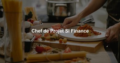 Chef de Projet SI Finance
