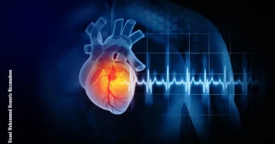 Bordeaux à la pointe de la médecine du futur grâce à une IA capable de détecter les cicatrices invisibles du cœur en moins d'une minute