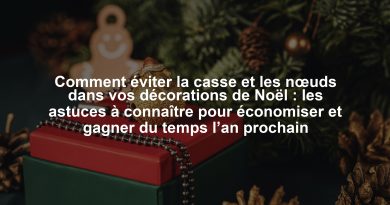 Comment éviter la casse et les nœuds dans vos décorations de Noël : les astuces à connaître pour économiser et gagner du temps l’an prochain