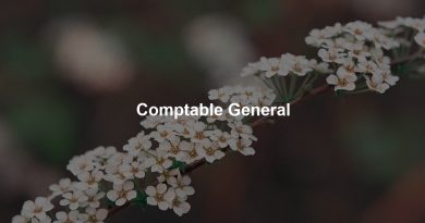 Comptable General