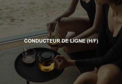 CONDUCTEUR DE LIGNE (H/F) CONDUCTEUR DE LIGNE (H/F)