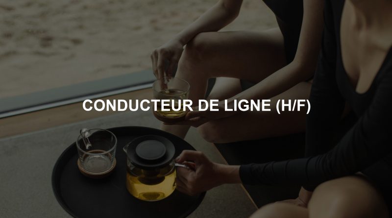 CONDUCTEUR DE LIGNE (H/F)