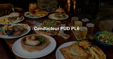 Conducteur PUD PL6