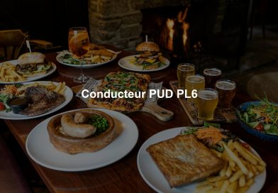 Conducteur PUD PL6