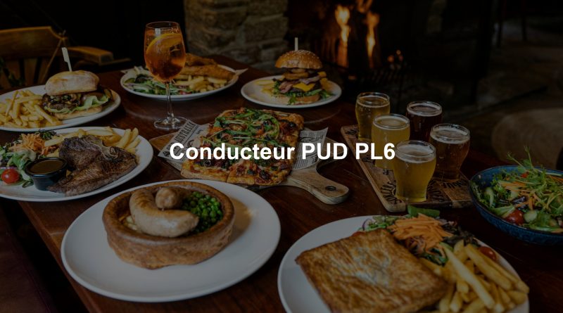 Conducteur PUD PL6