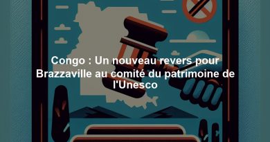 Congo : Un nouveau revers pour Brazzaville au comité du patrimoine de l'Unesco