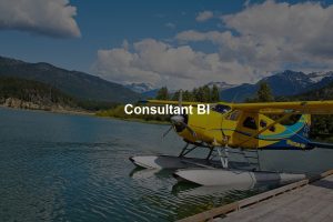 Consultant BI