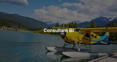 Consultant BI