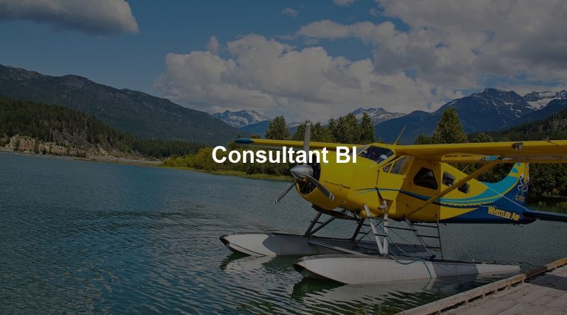 Consultant BI