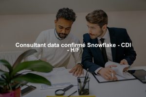 Consultant data confirmé Snowflake - CDI - H/F