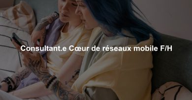 Consultant.e Cœur de réseaux mobile F/H