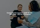 Consultant/e expert/e SAP FI CO - Aéroline - Aix-en-Provence