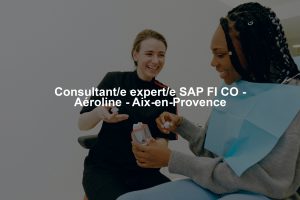 Consultant/e expert/e SAP FI CO - Aéroline - Aix-en-Provence