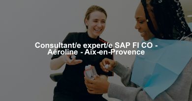 Consultant/e expert/e SAP FI CO - Aéroline - Aix-en-Provence