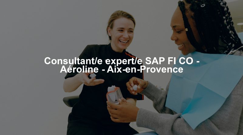 Consultant/e expert/e SAP FI CO - Aéroline - Aix-en-Provence