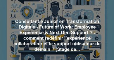 Consultant.e Junior en Transformation Digitale - Future of Work: Employee Experience & Next Gen Support ? : comment redéfinir l’expérience collaborateur et le support utilisateur de demain ? (Stage de fin d'études)